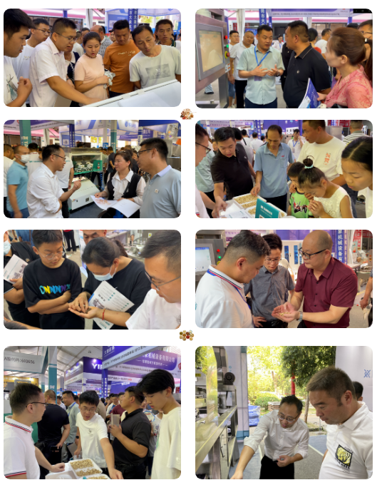 人妻内射一区二区在线视频