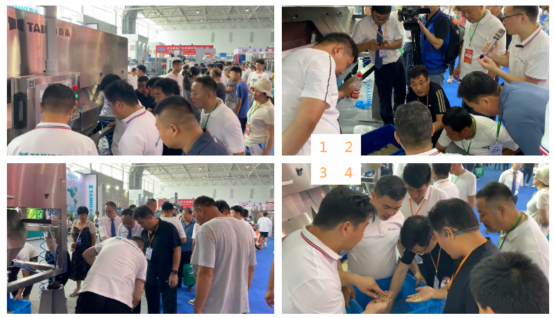 人妻内射一区二区在线视频