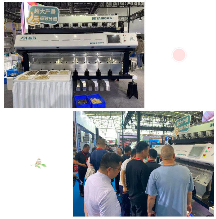 人妻内射一区二区在线视频