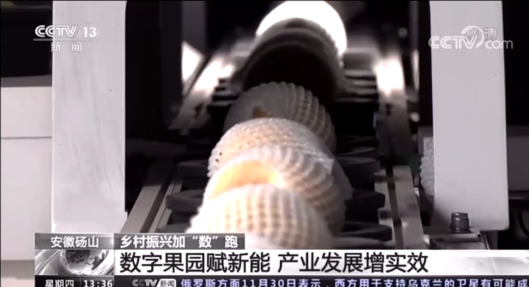 人妻内射一区二区在线视频