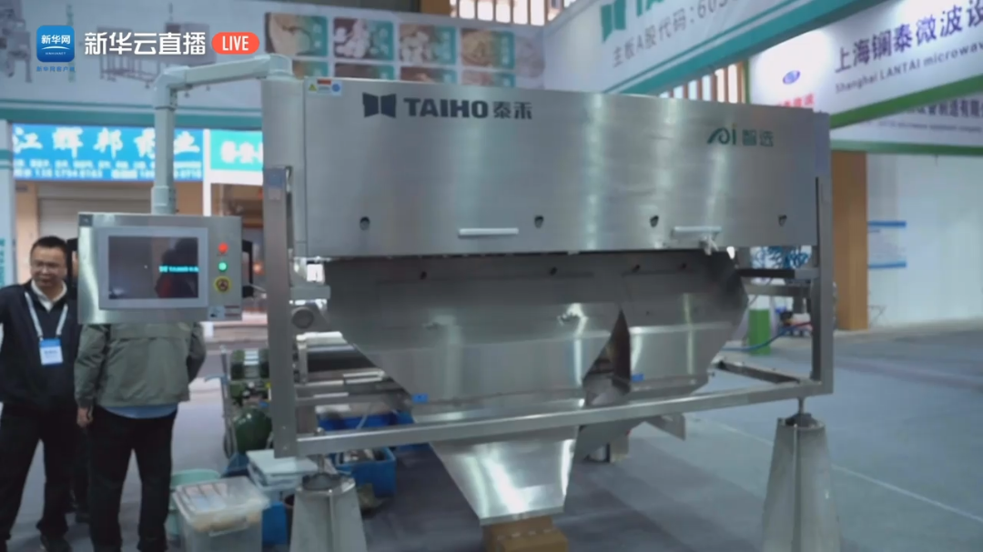 人妻内射一区二区在线视频