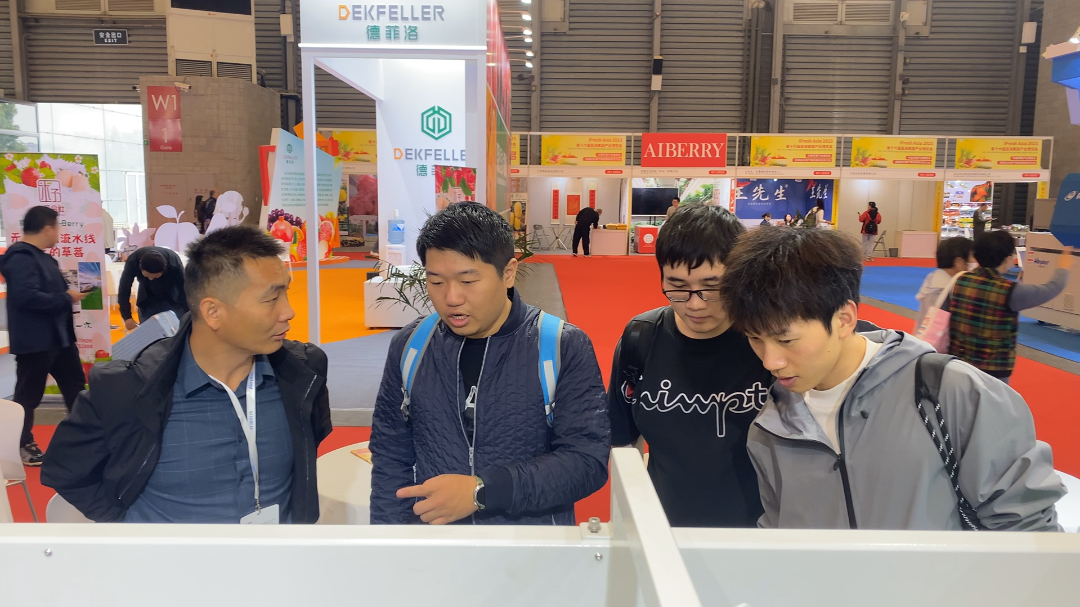 人妻内射一区二区在线视频