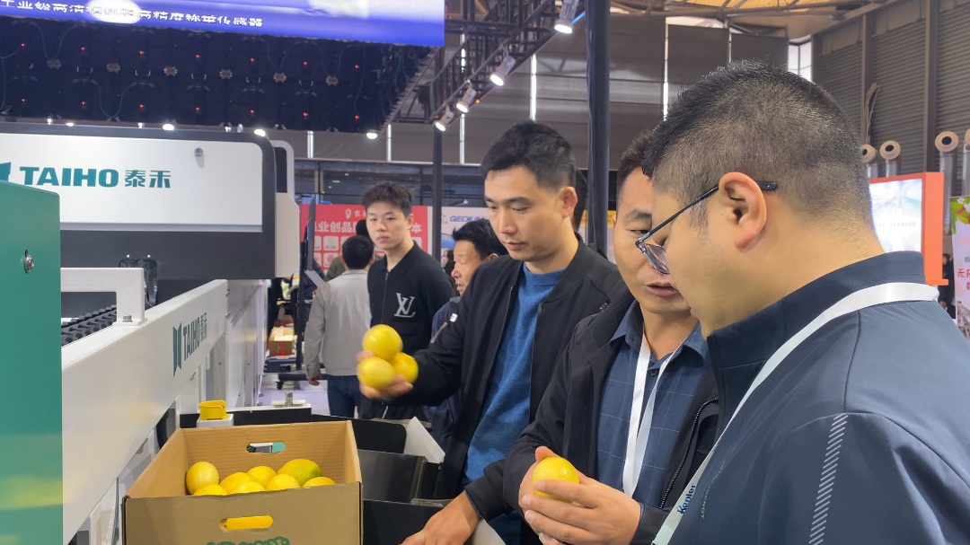 人妻内射一区二区在线视频