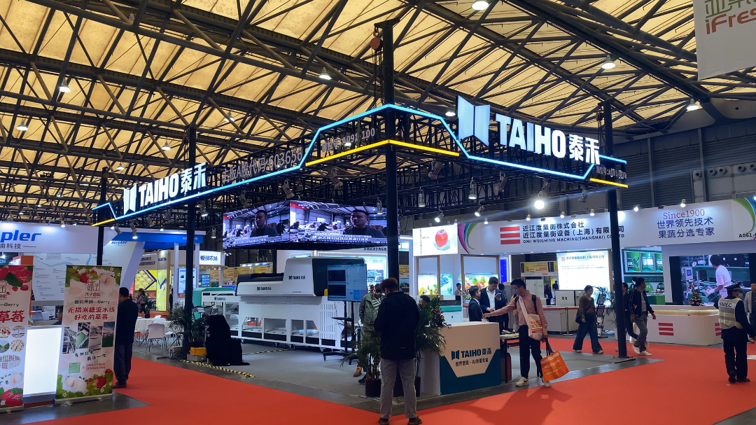 人妻内射一区二区在线视频