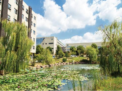 人妻内射一区二区在线视频