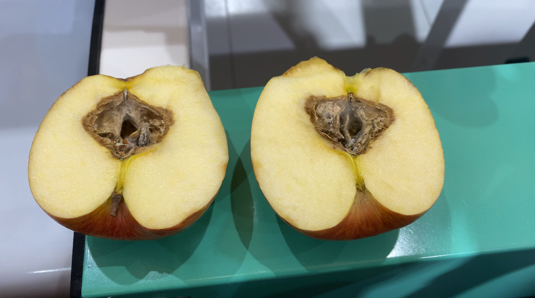 人妻内射一区二区在线视频