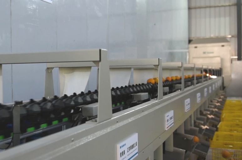 人妻内射一区二区在线视频