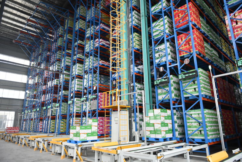 人妻内射一区二区在线视频