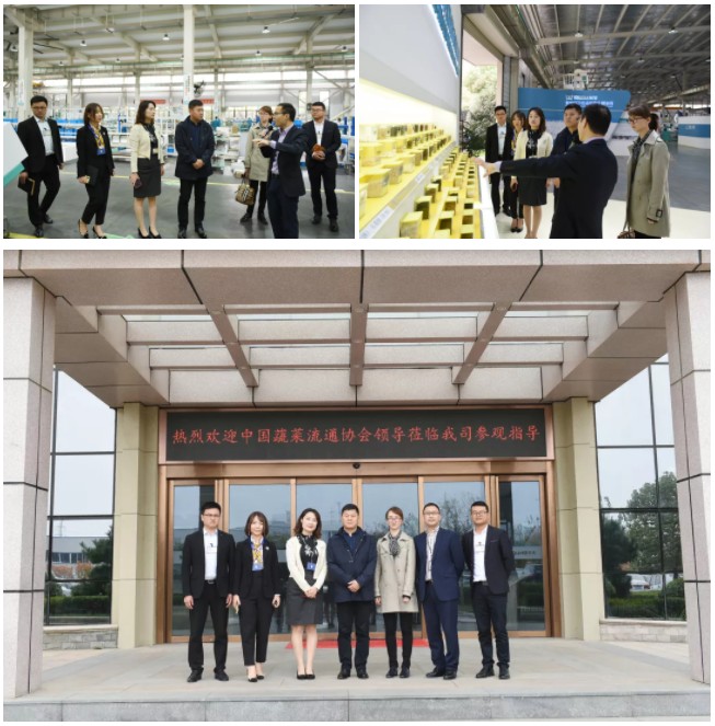 人妻内射一区二区在线视频