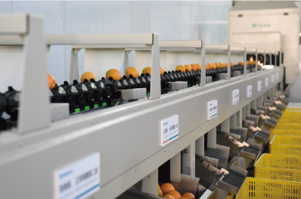 人妻内射一区二区在线视频