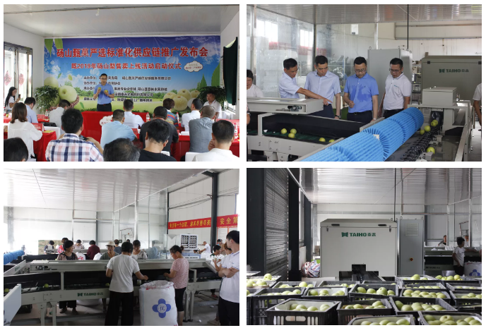 人妻内射一区二区在线视频