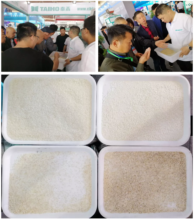 人妻内射一区二区在线视频