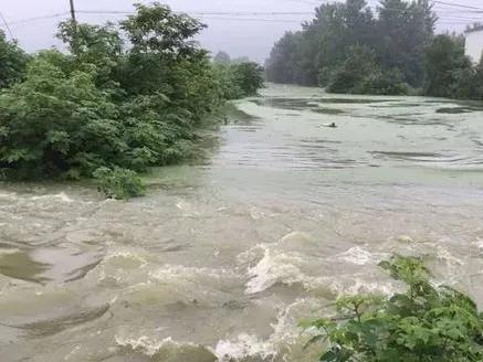 人妻内射一区二区在线视频