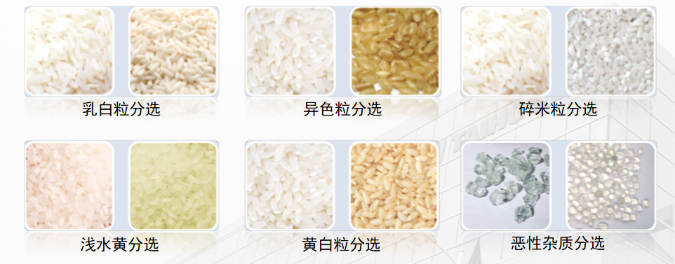 人妻内射一区二区在线视频