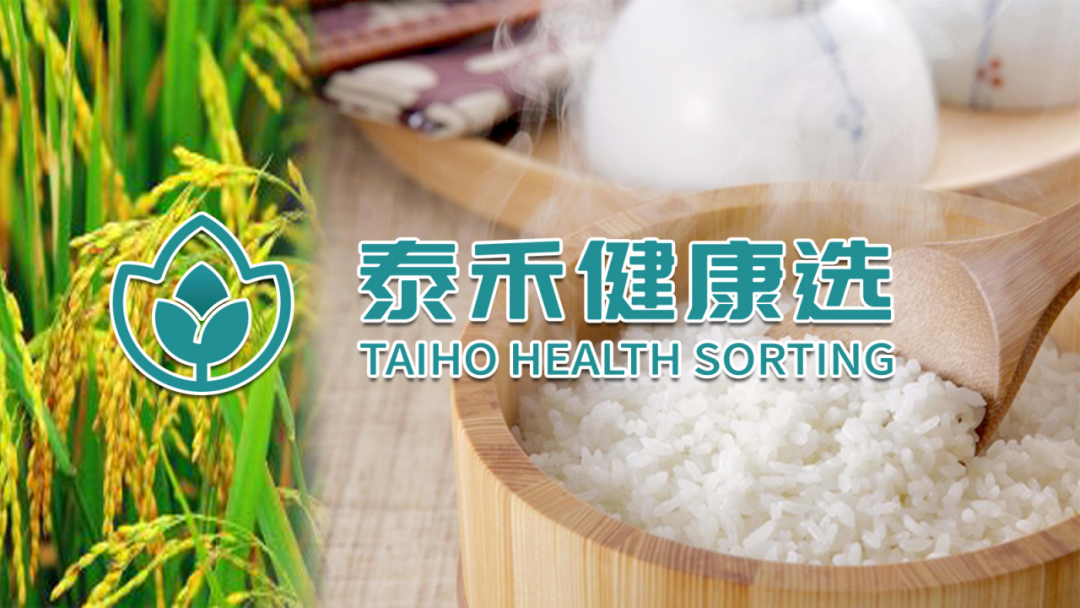 人妻内射一区二区在线视频