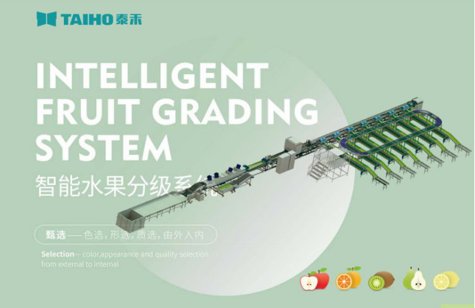 人妻内射一区二区在线视频