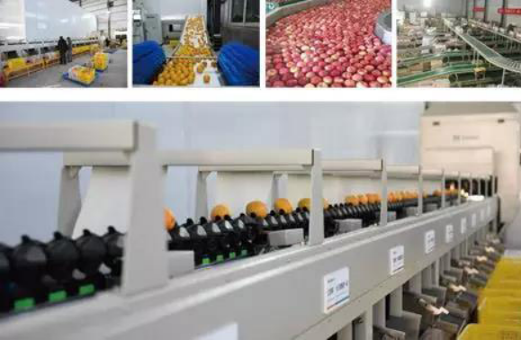 人妻内射一区二区在线视频