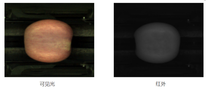 人妻内射一区二区在线视频