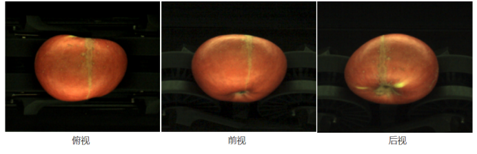 人妻内射一区二区在线视频