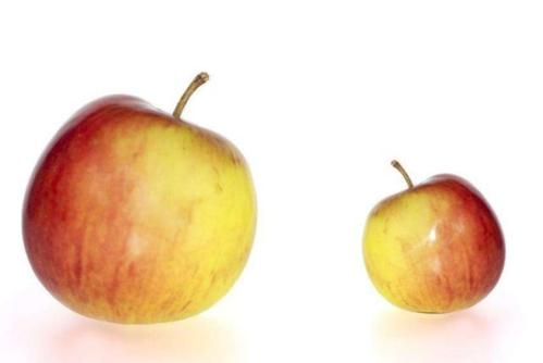 人妻内射一区二区在线视频