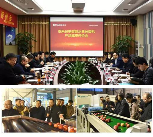 人妻内射一区二区在线视频