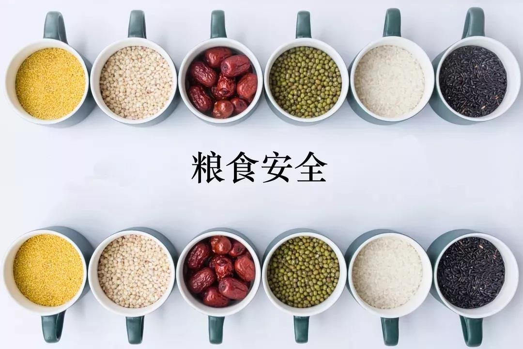 人妻内射一区二区在线视频