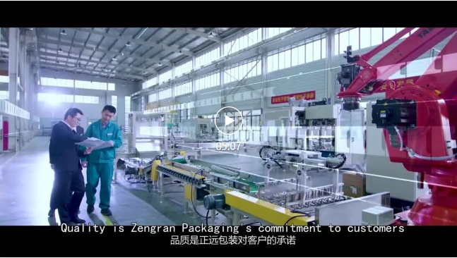 人妻内射一区二区在线视频