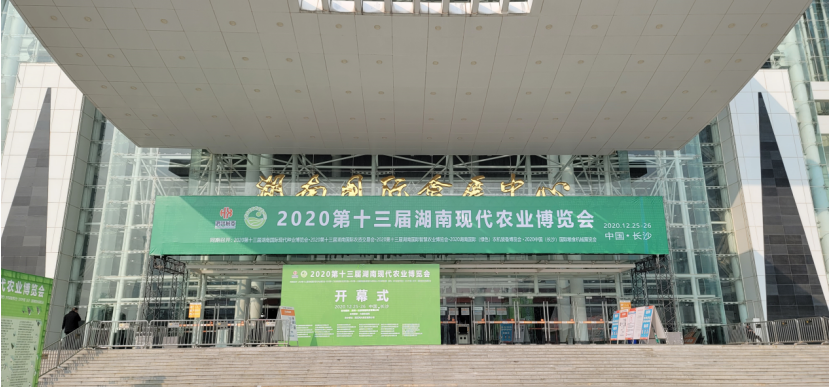 人妻内射一区二区在线视频