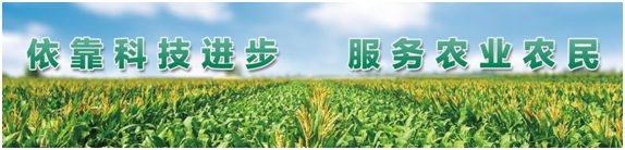 人妻内射一区二区在线视频