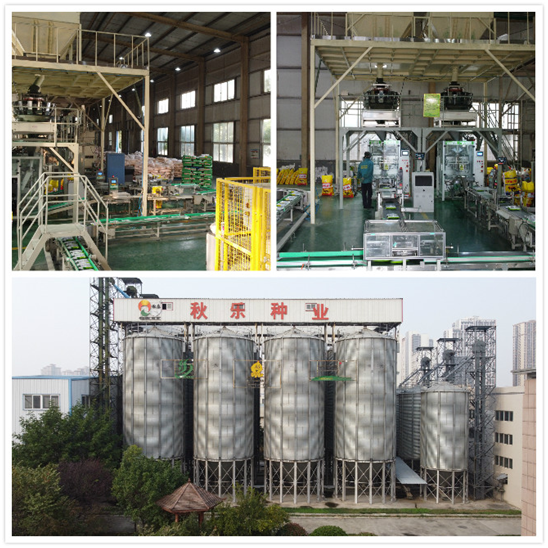 人妻内射一区二区在线视频