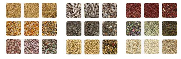 人妻内射一区二区在线视频