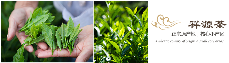 人妻内射一区二区在线视频