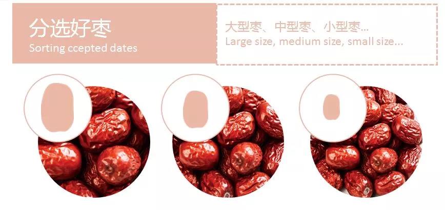 人妻内射一区二区在线视频