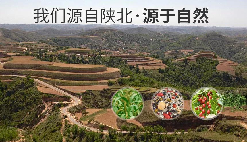 人妻内射一区二区在线视频