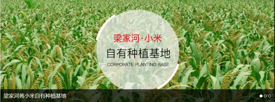 人妻内射一区二区在线视频