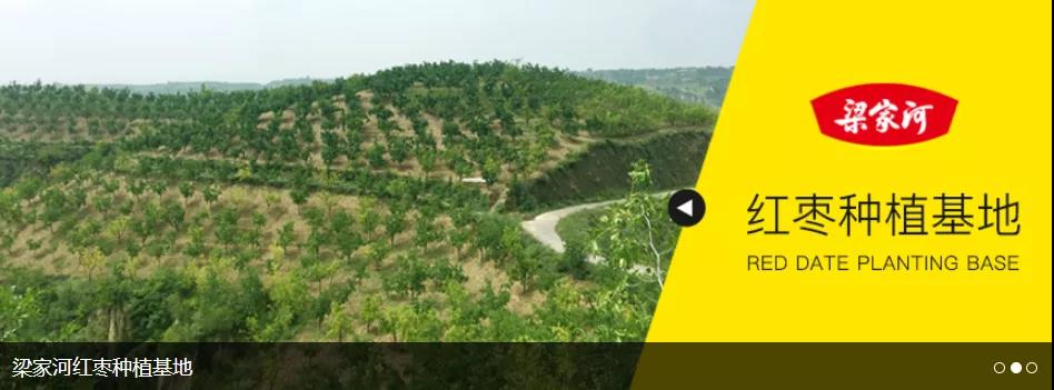 人妻内射一区二区在线视频