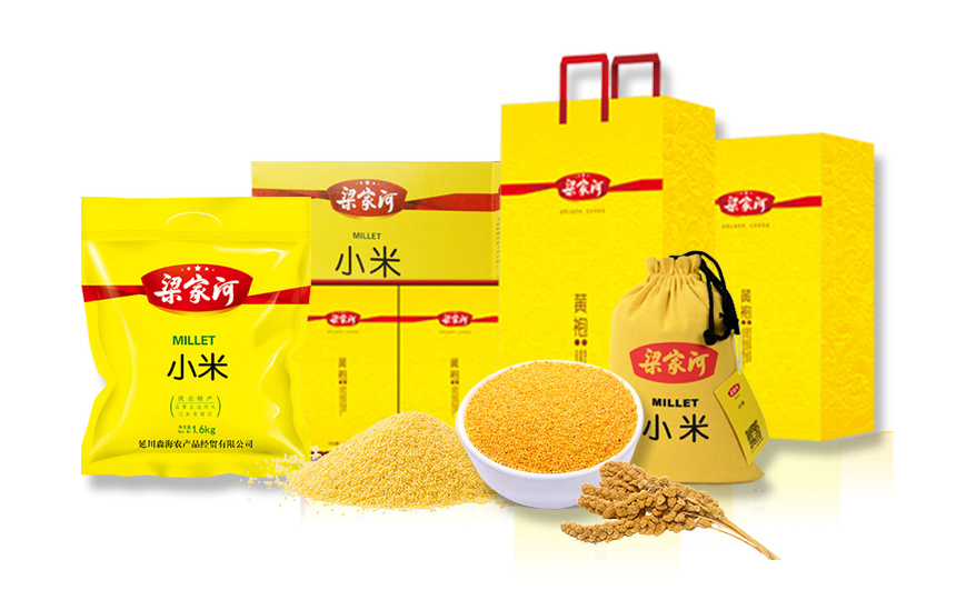 人妻内射一区二区在线视频