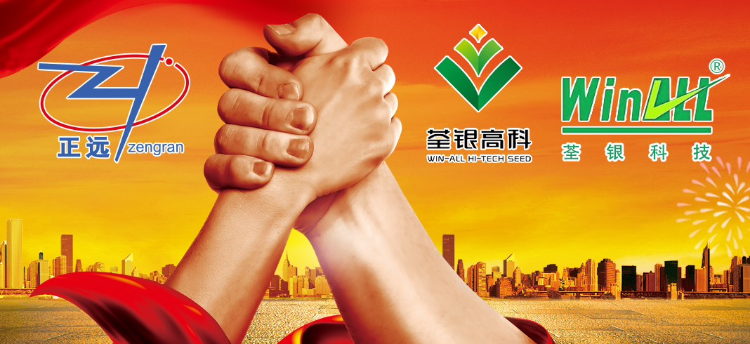 人妻内射一区二区在线视频